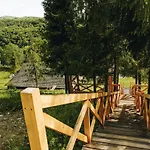три сосни * Kossiv
